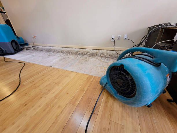 Reliable Flood Damage Restoration contractor in Somerville, TX by Hirex Water Damage
