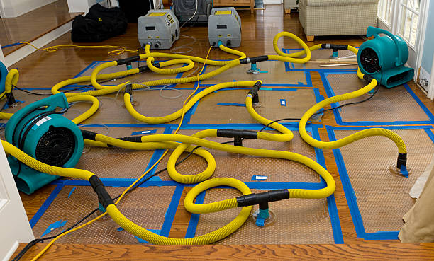 Professional Flood Damage Restoration technician working in Somerville, TX
